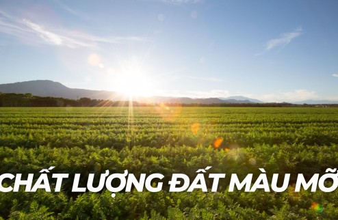 Hơn 60 ha đất Nông Nghiệp bằng phẳng, màu mỡ tại Đăk Nông - Giá chỉ 660tr/ha. NguyenThanh M&A